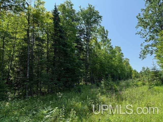 TBD 1st Crossing Road, Florence T-Wi, WI 54121