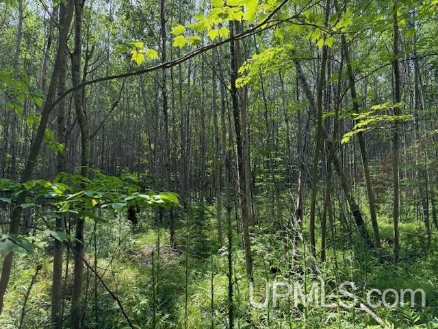 TBD 1st Crossing Road, Florence T-Wi, WI 54121