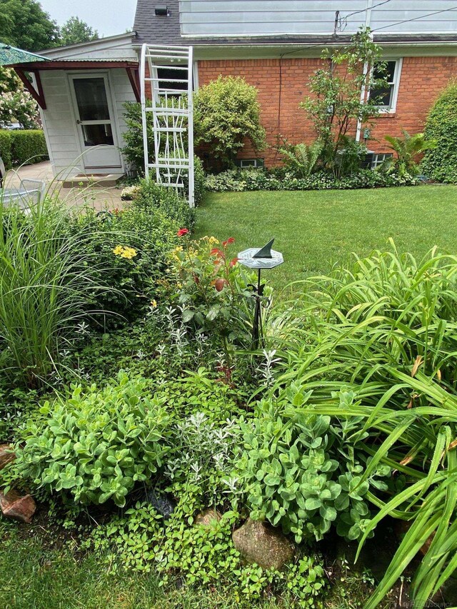 1782 Hollywood St, Grosse Pointe Woods, MI 48236 - view of grassy yard