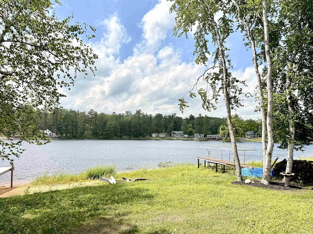 3331 Lakeshore Dr, Gladwin, MI 48624 - water view featuring a forest