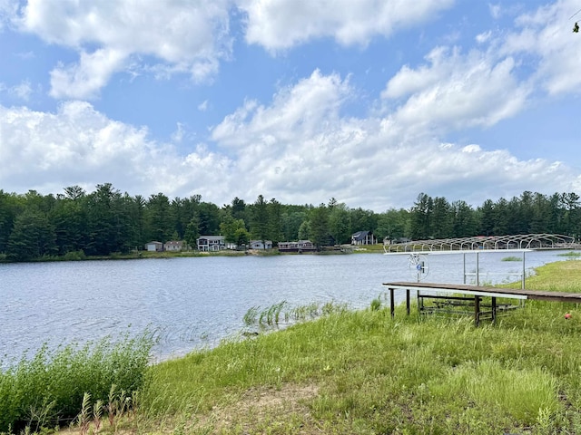 3331 Lakeshore Dr, Gladwin, MI 48624 - water view with a heavily wooded area