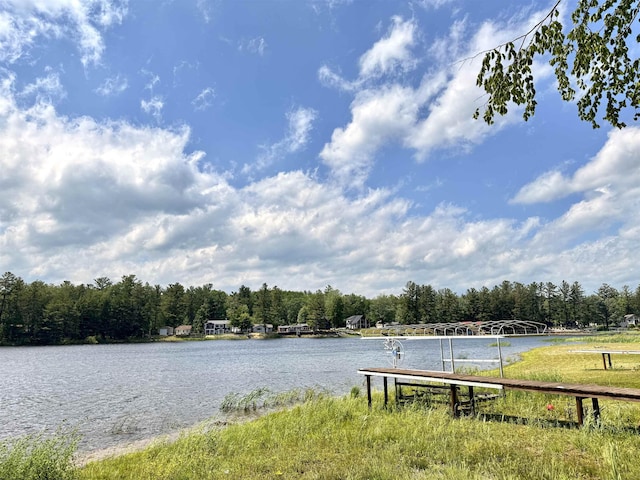 3331 Lakeshore Dr, Gladwin, MI 48624 - water view featuring a forest