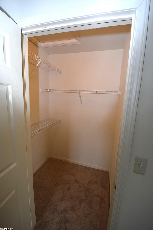 11186 Spruce Ct Unit 105, Washington Twp, MI 48094 - walk in closet with carpet floors
