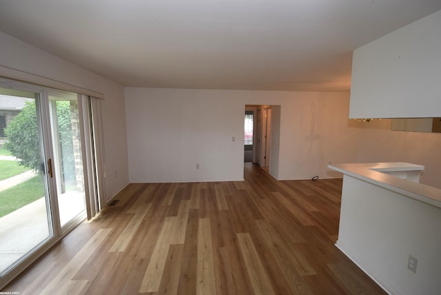 11186 Spruce Ct Unit 105, Washington Twp, MI 48094 - unfurnished living room featuring light wood finished floors