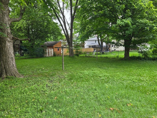 321 Lamson St, Grand Ledge, MI 48837 - view of yard