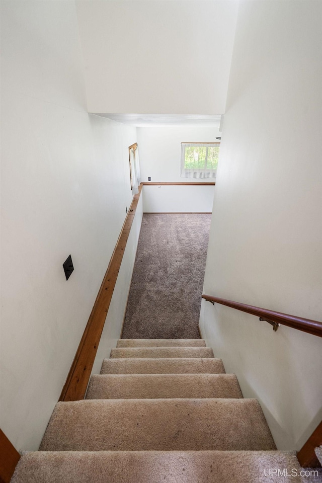 719 S Carlshend Rd, Skandia, MI 49885 - stairs with carpet