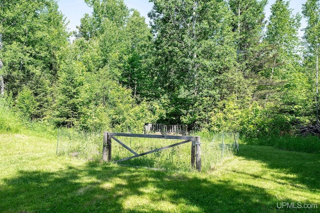719 S Carlshend Rd, Skandia, MI 49885 - view of grassy yard featuring a forest view