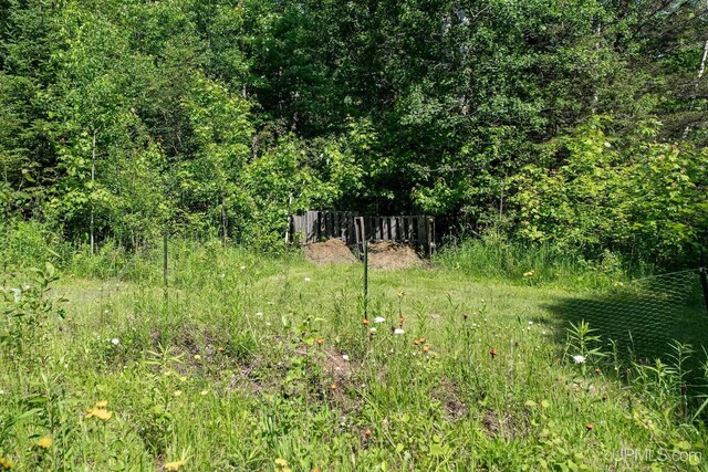 719 S Carlshend Rd, Skandia, MI 49885 - view of yard