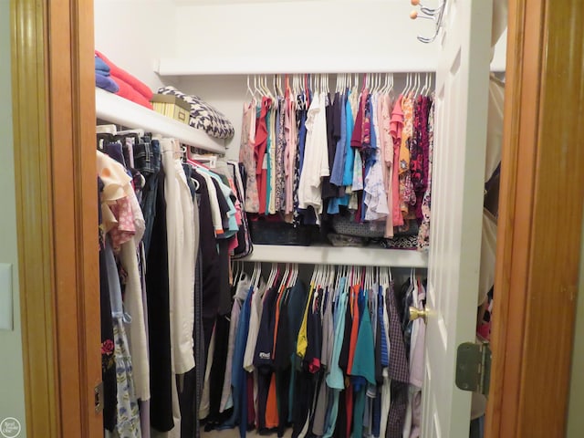 46778 Tiffin Ct, Chesterfield, MI 48047 - view of spacious closet