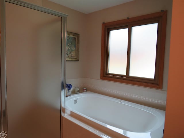 46778 Tiffin Ct, Chesterfield, MI 48047 - full bath with a bath and a shower stall
