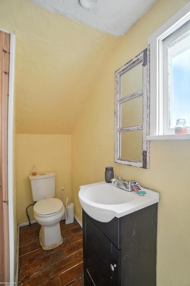 618 Harrison St, Monroe, MI 48161 - bathroom featuring wood-type flooring, vanity, and lofted ceiling