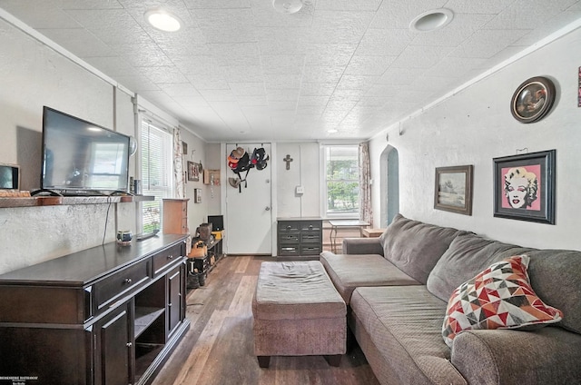 618 Harrison St, Monroe, MI 48161 - living room with arched walkways, hardwood / wood-style floors, and healthy amount of natural light
