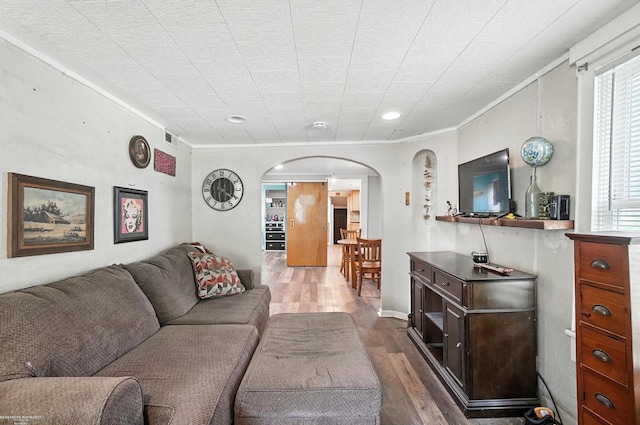 618 Harrison St, Monroe, MI 48161 - living room with arched walkways, wood finished floors, plenty of natural light, and recessed lighting