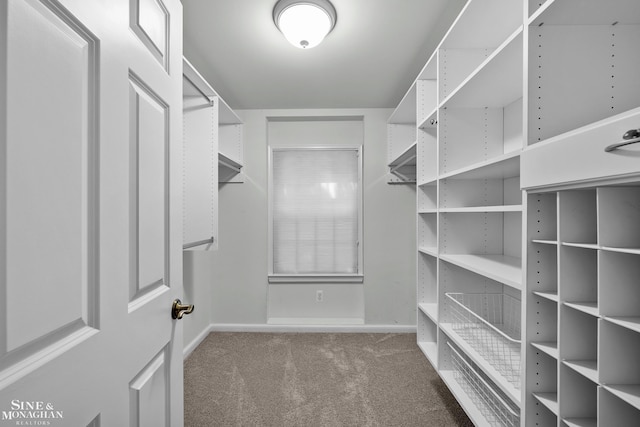 388 Lincoln Rd, Grosse Pointe, MI 48230 - walk in closet featuring carpet