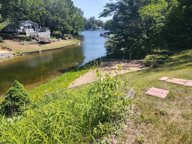3601 Huckleberry Trl, Farwell, MI 48622 - water view