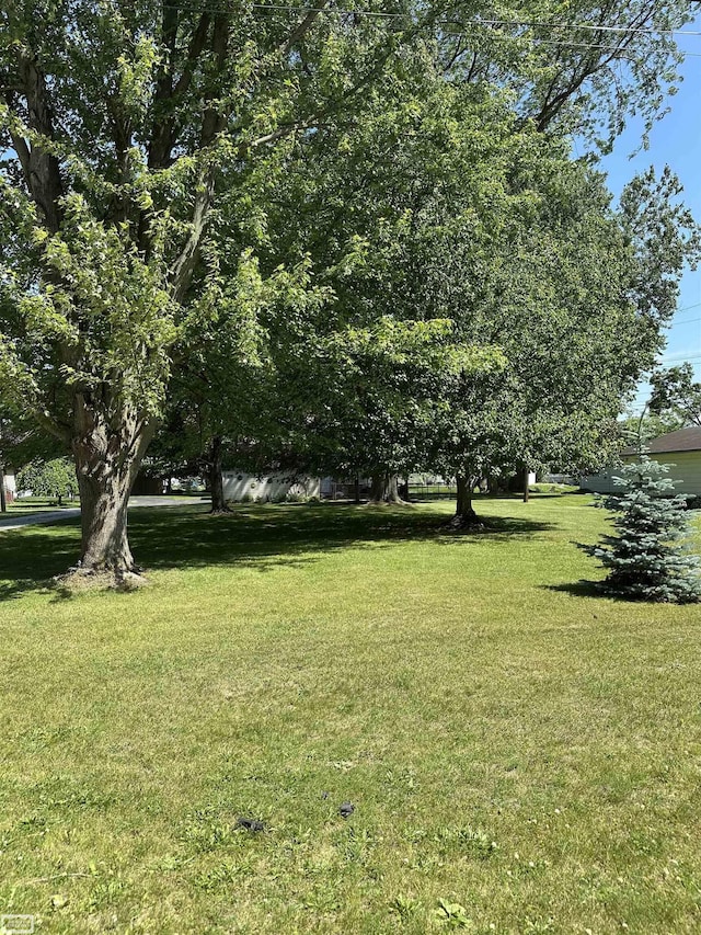 2100 Michigan St, Algonac, MI 48001 - view of green lawn