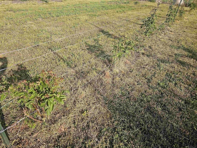 11639 State Rd, Nunica, MI 49448 - aerial view