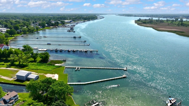 10125 Saint John Dr, Algonac, MI 48001 - drone / aerial view of a large body of water