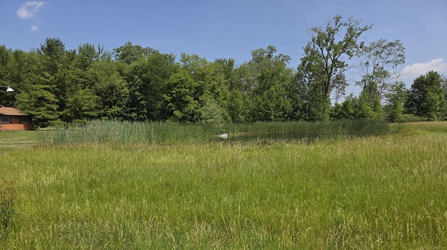 55305 Fairchild Rd, Macomb, MI 48042 - view of nature