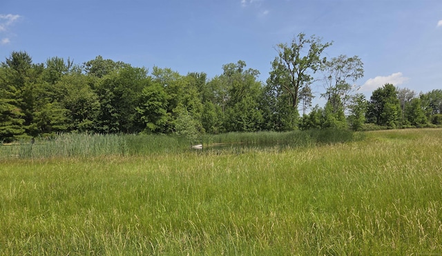 55305 Fairchild Rd, Macomb, MI 48042 - view of undeveloped land
