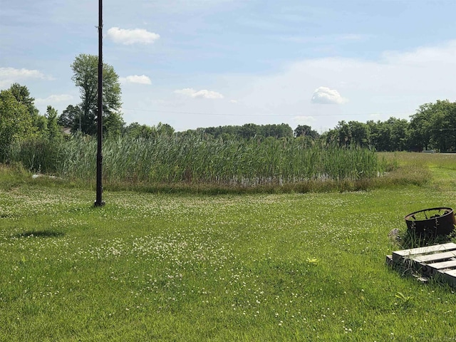 55305 Fairchild Rd, Macomb, MI 48042 - view of yard