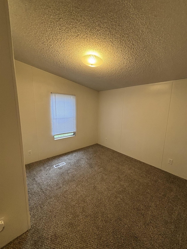 2299 Bart St, Croswell, MI 48422 - unfurnished room with carpet, a textured ceiling, and lofted ceiling