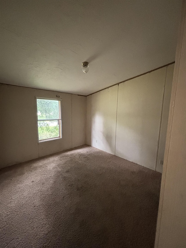 2240 Mark St, Croswell, MI 48422 - spare room with carpet