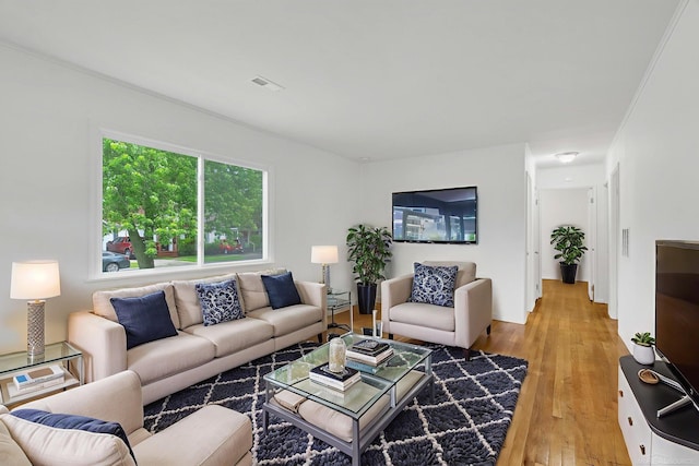 1404 Pine St, Port Huron, MI 48060 - living room featuring light wood-style flooring