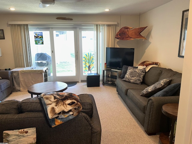 15 E Spring Ct Unit 12, Port Austin, MI 48467 - living room with carpet and recessed lighting