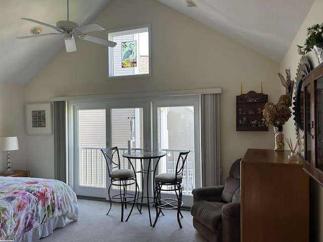 15 E Spring Ct Unit 12, Port Austin, MI 48467 - bedroom with carpet flooring and high vaulted ceiling