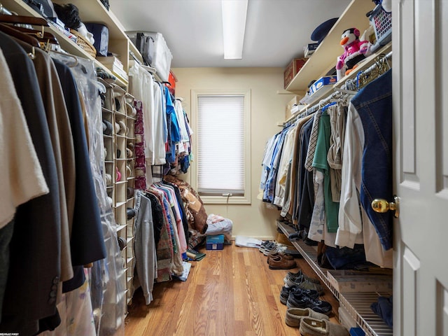 1008 Hidden Ln, Rochester Hills, MI 48309 - spacious closet with wood finished floors