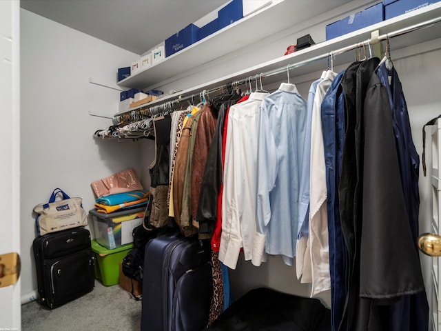 1008 Hidden Ln, Rochester Hills, MI 48309 - walk in closet featuring carpet flooring
