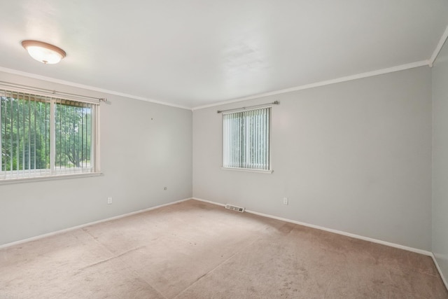 6575 Goldfinch Ln, Clarkston, MI 48346 - carpeted spare room with crown molding and baseboards