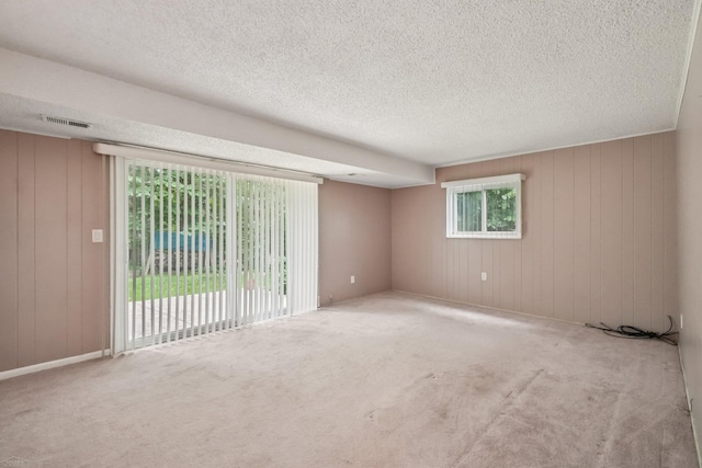 6575 Goldfinch Ln, Clarkston, MI 48346 - unfurnished room with carpet flooring, a textured ceiling, and wooden walls
