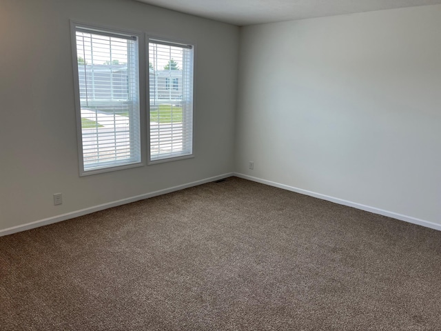 264 Westbrook Ct, Port Huron, MI 48060 - empty room with carpet flooring and healthy amount of natural light