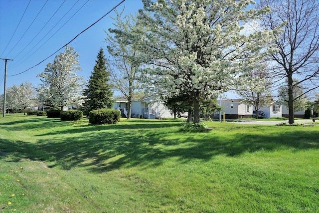 260 Meadow Ln, Port Huron, MI 48060 - view of green lawn