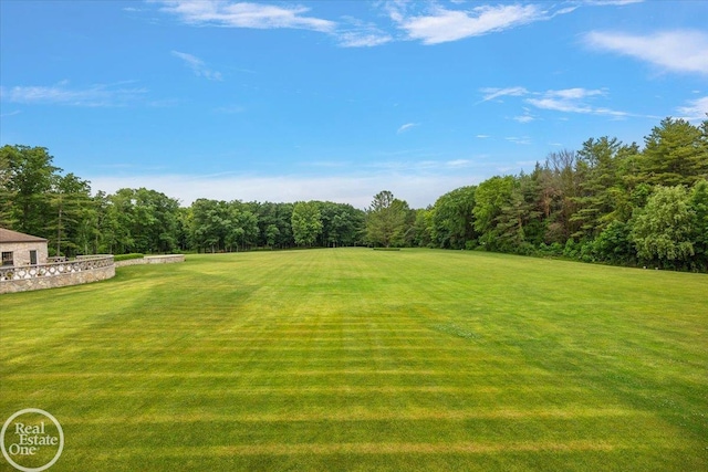 5350 Brewster Rd, Oakland Twp, MI 48306 - view of green lawn with a forest view
