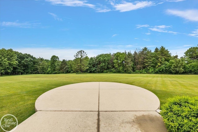 5350 Brewster Rd, Oakland Twp, MI 48306 - view of patio