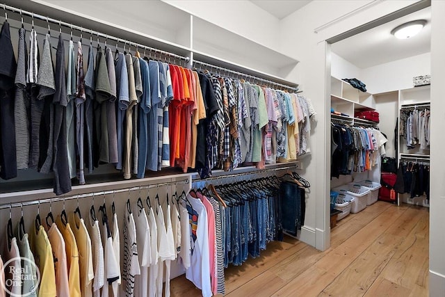 5350 Brewster Rd, Oakland Twp, MI 48306 - walk in closet featuring hardwood / wood-style floors