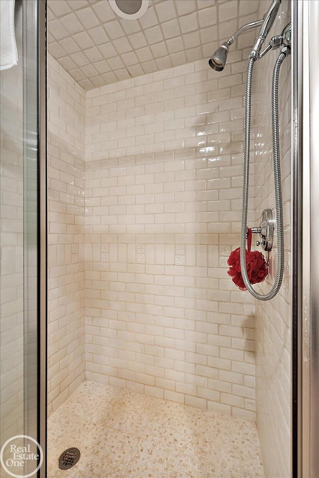 5350 Brewster Rd, Oakland Twp, MI 48306 - bathroom with a stall shower