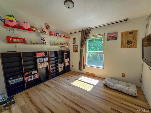 N6974 Tahquamenon Dr, Munising, MI 49862 - game room with wood finished floors and a textured ceiling