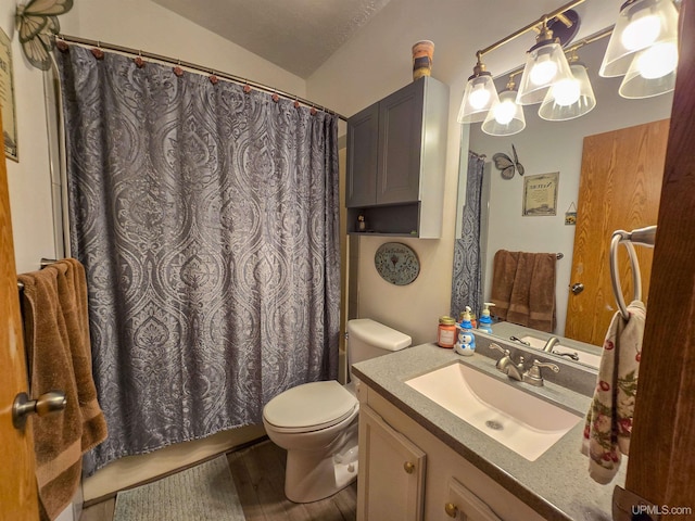 N6974 Tahquamenon Dr, Munising, MI 49862 - bathroom featuring vanity, wood finished floors, and curtained shower