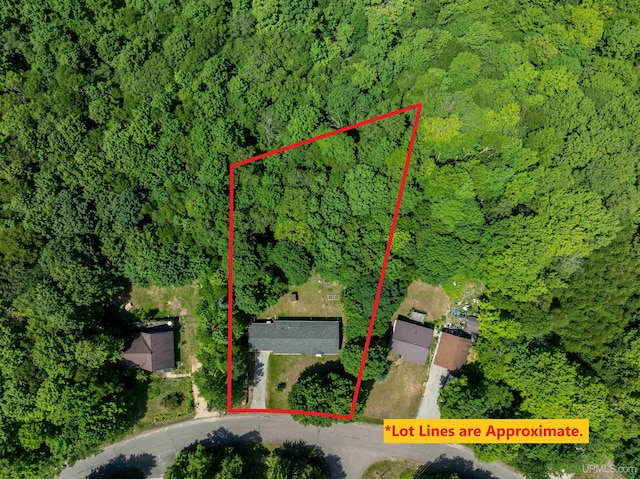 N6974 Tahquamenon Dr, Munising, MI 49862 - aerial view of property and surrounding area featuring a forest and property boundaries highlighted