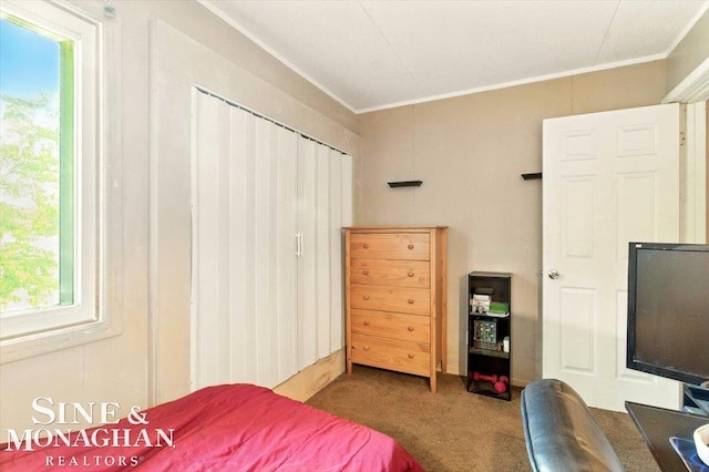 3032 24th St, Port Huron, MI 48060 - bedroom with crown molding and carpet