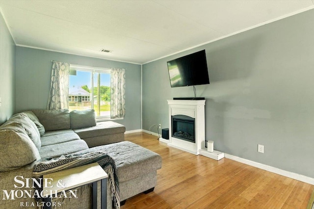3032 24th St, Port Huron, MI 48060 - living room featuring wood finished floors, crown molding, and a glass covered fireplace