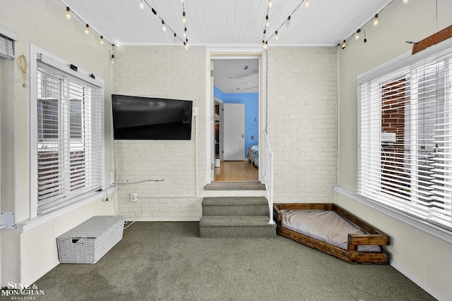 1857 Roslyn Rd, Grosse Pointe Woods, MI 48236 - unfurnished bedroom featuring rail lighting, brick wall, carpet flooring, and multiple windows