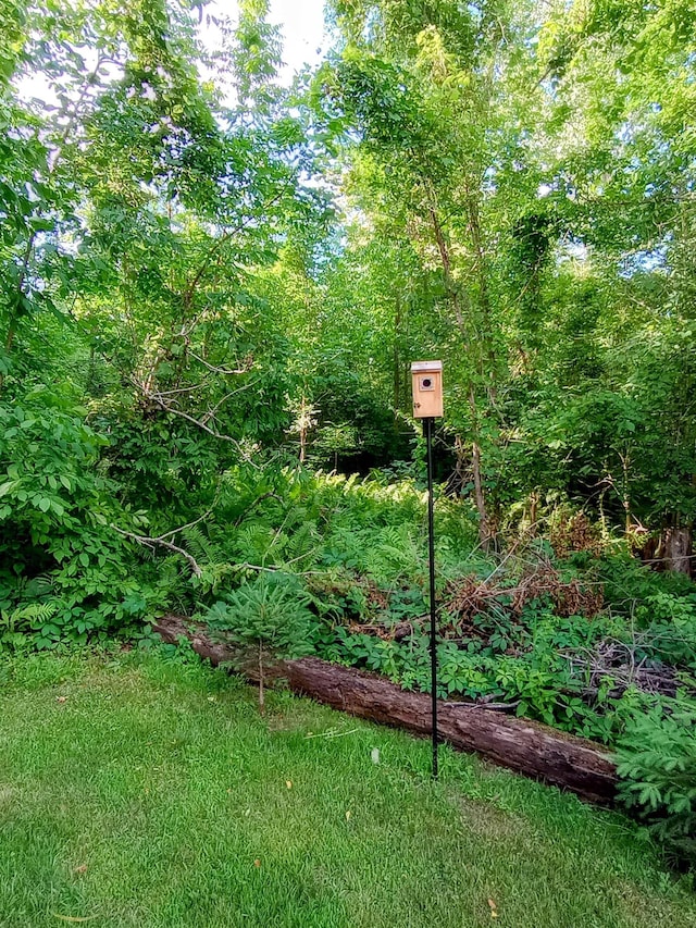 2308 S River Rd, Beaverton, MI 48612 - view of yard