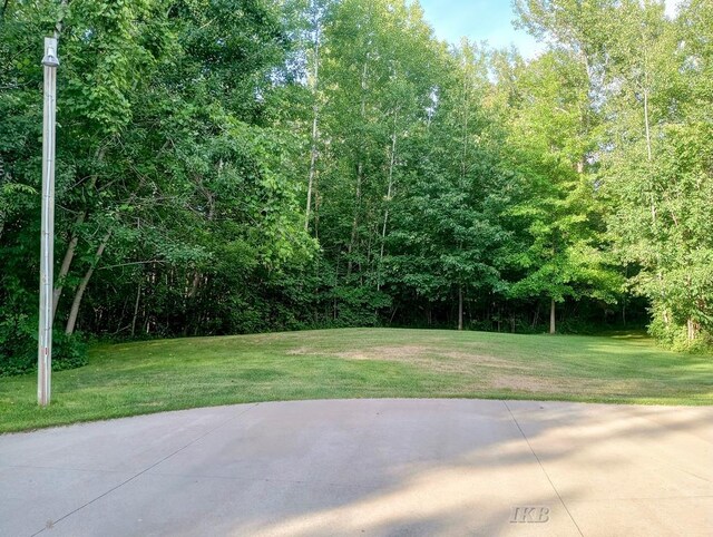 2308 S River Rd, Beaverton, MI 48612 - view of green lawn with a patio area