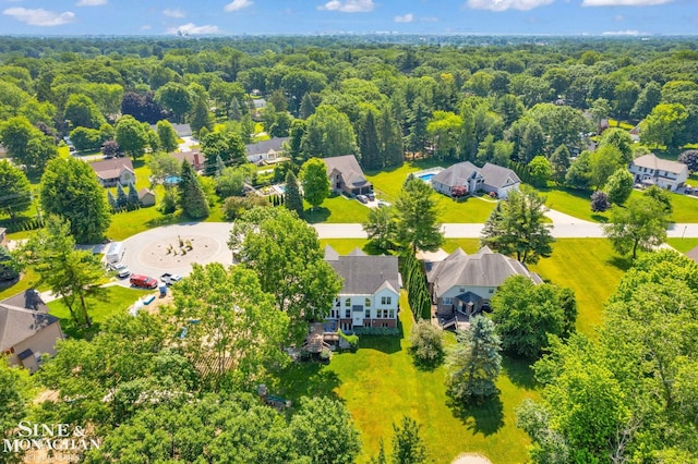 3325 Saint Andrews Dr, Port Huron, MI 48060 - aerial view of residential area with a forest