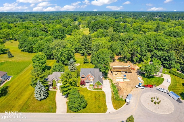 3325 Saint Andrews Dr, Port Huron, MI 48060 - drone / aerial view of a heavily wooded area